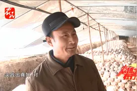 实用的地下菇棚 能帮你省钱省工多卖钱视频封面