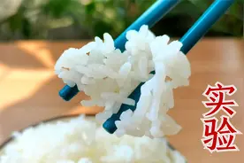 电饭煲和电压力锅做出的米饭，到底哪个更好吃，今天就对比一下视频封面