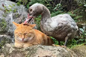 闭上眼睛 眼不见心不烦