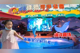 去武汉海昌极地海洋公园，看海豚表演，说要保护海洋不乱丢垃圾