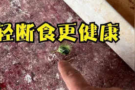 十天半月把鸽子饿个一两天，定期排空肠道对鸽子健康更有帮助