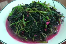 苋菜的家常做法，清热解毒，简单又好吃视频封面