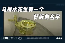 上厕所时马桶溅起来的水花竟然被称为波塞冬之吻！