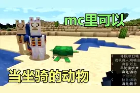我的世界：除了马这些动物也能当坐骑，用对方法，八爪鱼也能骑视频封面