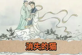 民间故事：消失的猫视频封面