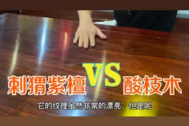 为何建议选择刺猬紫檀而非酸枝木呢？听听老吴怎么说视频封面