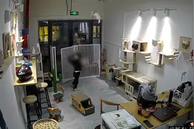 浙江猫舍老板回应男孩多次抛扔猫咪：已和解，赔付3500元医疗费