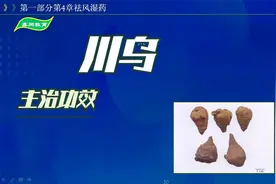 中药-川乌的主治功效