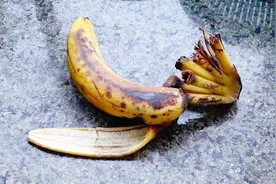 烂香蕉不要扔，教你这样做，好吃不浪费