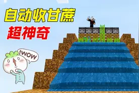 我的世界：全自动收甘蔗神器！自己跑进箱子里，真好用