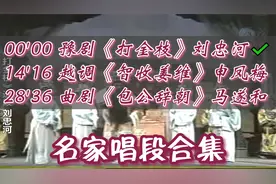 豫剧、越调、曲剧名家唱段集锦，刘忠河、申凤梅、马遂和视频封面