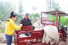 农村来个收鸭毛和破褥子的，姑娘把唯一一只鸭毛拿去卖，看值多少视频封面