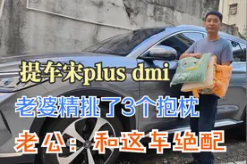 峰哥提车宋dmi，一家三口买了3个不同款式和颜色的抱枕，太好看了视频封面