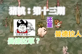 【饥荒·哈姆雷特实况】这货是人形曼德拉草？