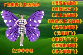 《蝴蝶双双飞》《酒醉的蝴蝶》《肩上的蝴蝶》《蝴蝶恋上花的美》