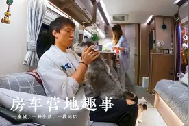 房车营地生活趣事！深夜12点的草地上，看看我们发现了啥？视频封面