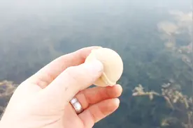 加拿大发明诱鱼神器，扔水里鱼争着上钩，造福全球钓鱼人！