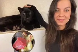 俄罗斯女孩家养黑豹，喂一大盆生肉！网友：饿急了会怎样