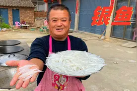 5斤银鱼才花了175元，再打几十个鸭蛋，这银鱼煎蛋实在鲜美视频封面