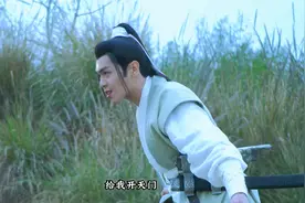 徐家四兄弟为母报仇视频封面