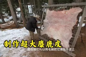老猎人古老工艺制作一块超大麋鹿皮，成品价值让人很意外