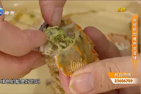 皮皮虾蒸完后发绿，难道是用药水泡过？记者来揭秘！视频封面