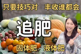 追肥｜施肥有技巧，人人都丰收，有机种菜怎么施肥