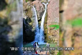 辟谷的正确方法-三个步骤教你如何正确辟谷视频封面