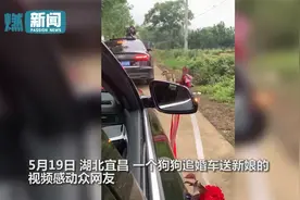 女主人出嫁 狗狗追婚车狂奔5、6公里送亲!现场一幕感动众人视频封面