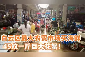 白云区最大农贸市场买海鲜45元一斤巨大花蟹视频封面