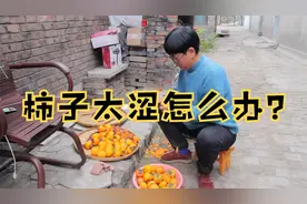 柿子太涩吃不成，农村二姐出巧招，把柿子放进烤箱30分钟有效果？视频封面