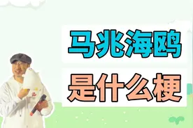 马兆海鸥是什么梗？