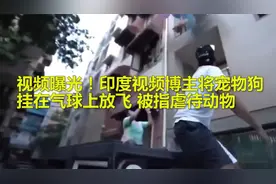 视频曝光！印度视频博主将宠物狗挂在气球上放飞 被指虐待动物视频封面