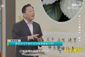 受了风寒这样吃，专家推荐紫苏汤，用四味药材驱寒散热|健康之路