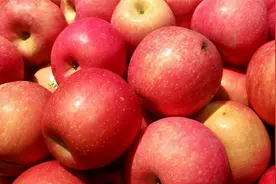 原来苹果要这样挑选，一挑一个准甜，再也不怕买到酸苹果了，看看