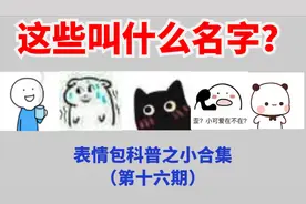 【表情包科普16】表情包小合集来了，这5个表情包叫什么名字呢？视频封面
