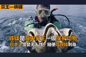 贝王砗磲是一级保护动物，日本吃砗磲竟合法，日本到底有多贪婪？