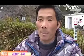 猪倌儿变渔夫，男子养殖石斑鳜鱼效益好，众多贫困户都受益了！视频封面