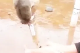 老鼠被绑在男子烟花上，直接点火发射，镜头记录全过程