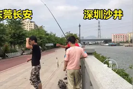 东莞长安几十公里海岸线，超过1000个钓位，深圳沙井的钓友有福了视频封面
