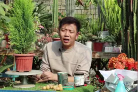 鸡蛋壳能养花吗？别盲目使用，别当“正餐”用，靠它养花难养好！视频封面