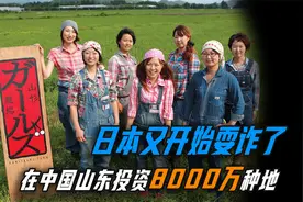 日本在山东租地，投资8000万建厂房，不锄草每天给地浇牛奶！