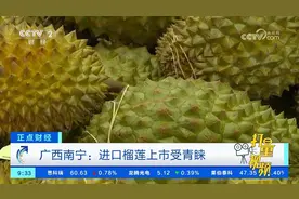 广西南宁进口榴莲上市受青睐，商户直呼价格降了太多！视频封面
