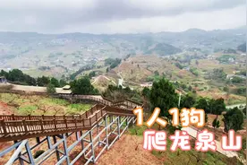 1人1狗爬龙泉山森林公园，发现隐藏绿道，山顶观光露营平台如何视频封面