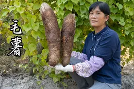 你没见过的毛薯吃法，做法超简单，营养价值不输山药