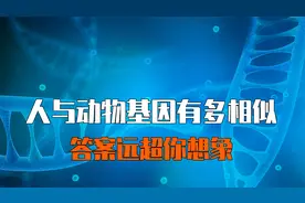人与各物种的基因有多相似？答案远超你想象！ #基因 #科普视频封面