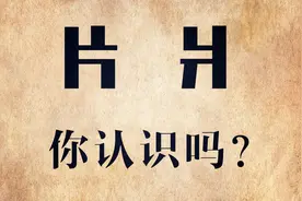 说文解字：“片”和“爿”你认识吗？笔顺很少有人写对！