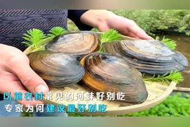 以前农村常见的河蚌，为何现在很少见了？专家又为何建议最好别吃