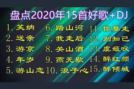 盘点2020年15首好歌+DJ歌曲好听