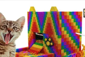 磁力球DIY小猫的猫粮投食器具，果真是创意十足，你学会了吗？